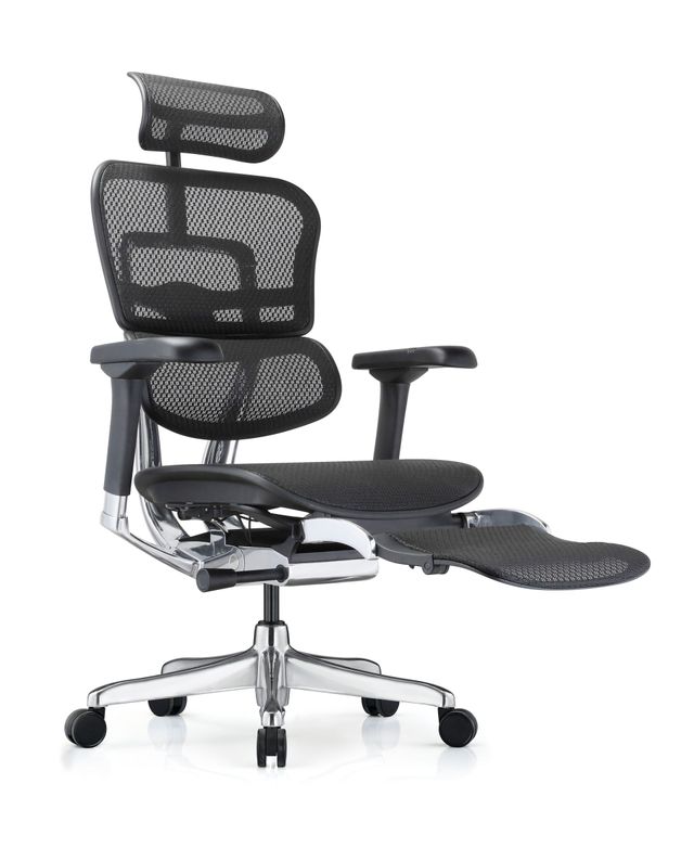 Ergohuman Elite G2 Globally Acclaimed Ergonomic Office Chair